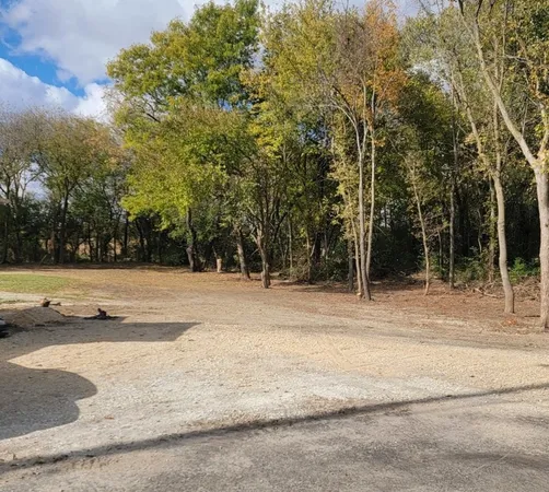a view of a yard with large trees