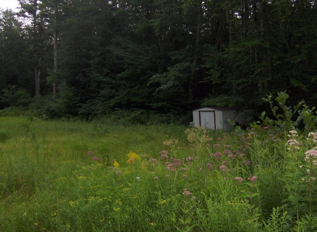 234 Bears Den Road Wells, ME 04090 - Photo 3 of 10 Property