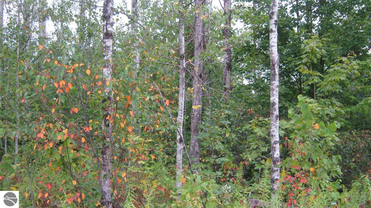 8309 North White Road Grayling, MI 49738 - Photo 20 of 20 1775593-20.JPG