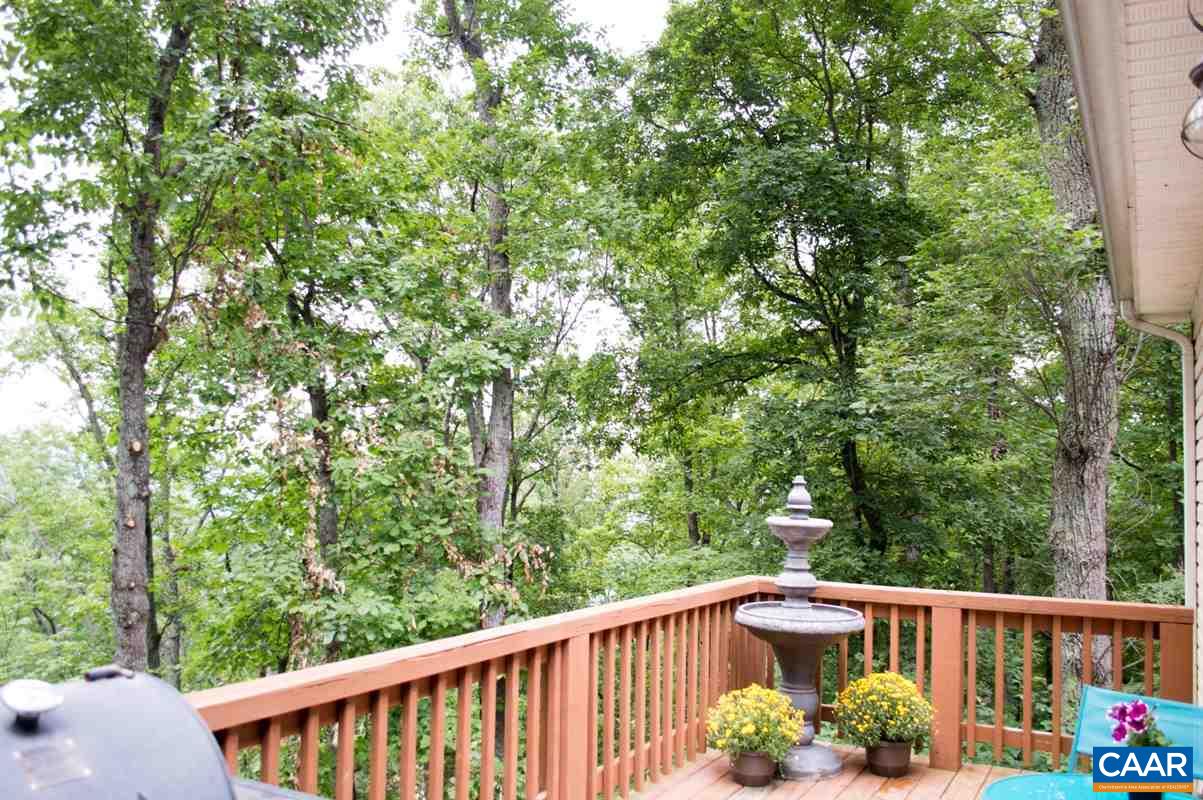 173 Top Ridge Road Stanardsville, VA 22973 - Photo 26 of 40 a view of balcony with a potted plant
