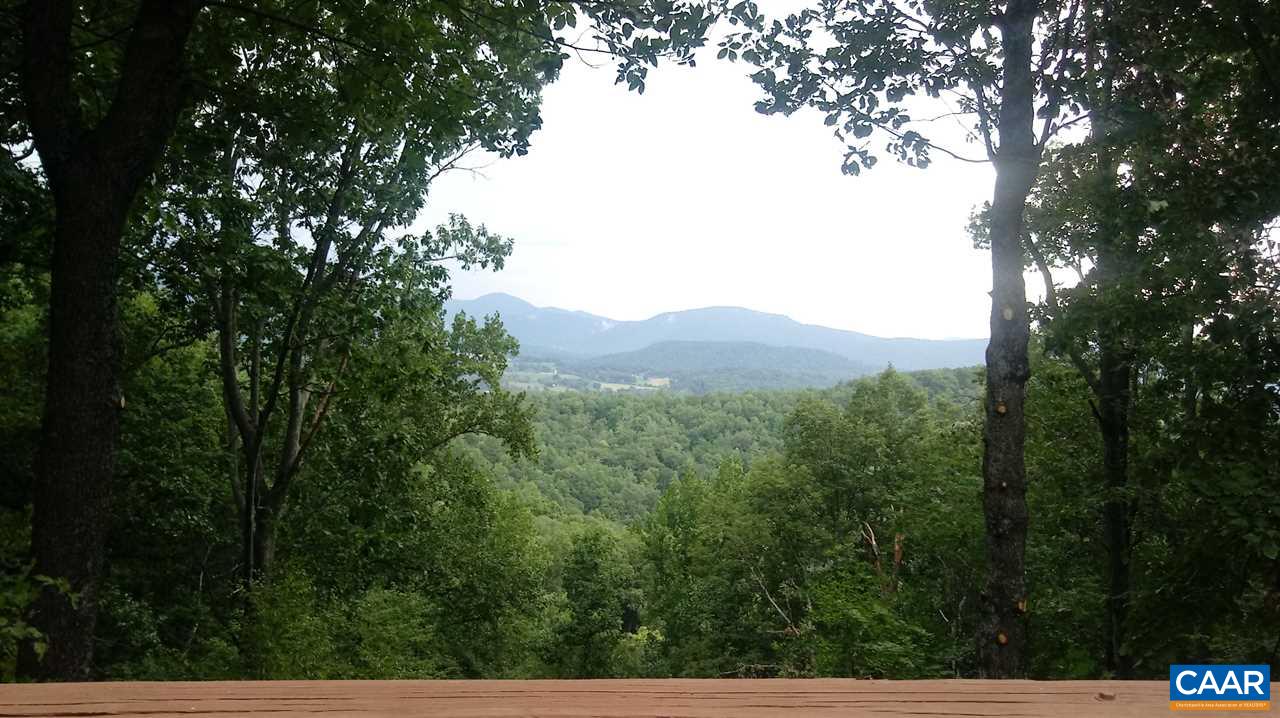 173 Top Ridge Road Stanardsville, VA 22973 - Photo 27 of 40 a view of a forest with a tree in the background