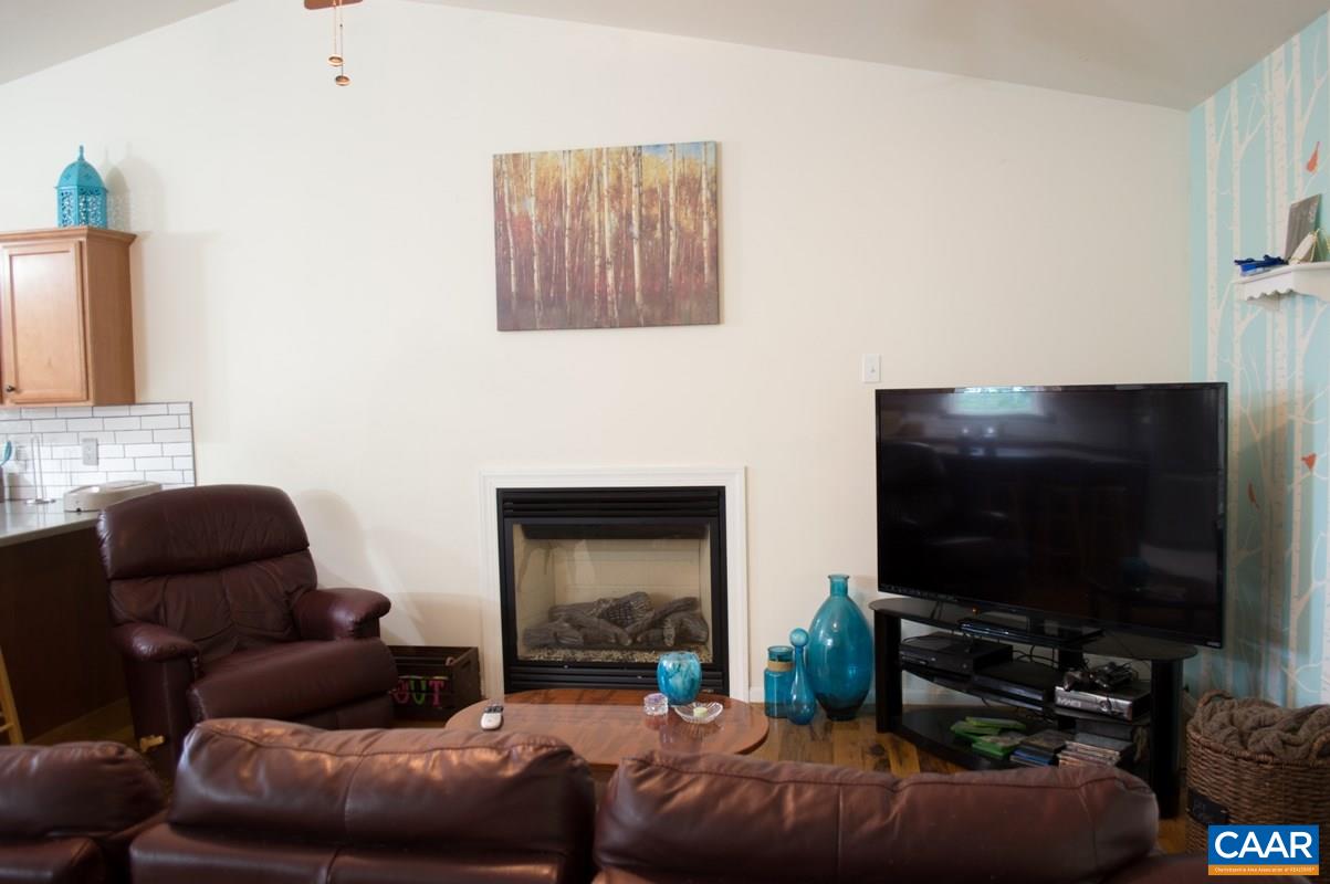 173 Top Ridge Road Stanardsville, VA 22973 - Photo 8 of 40 a living room with furniture and a flat screen tv