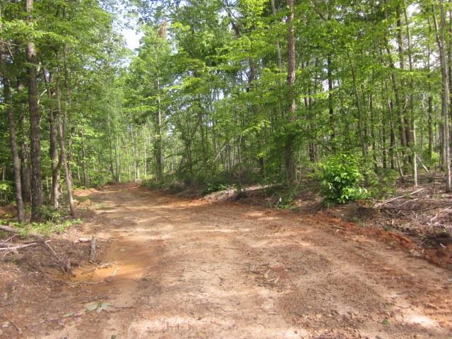 0 Bear Creek Road Talking Rock, GA 30175 - Photo 12 of 78 a view of a yard with a tree