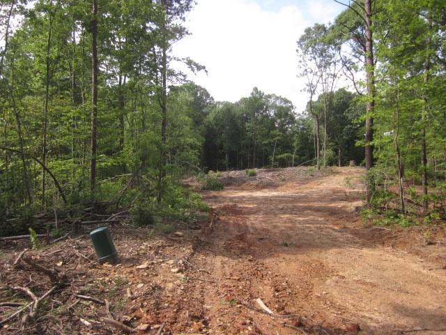 0 Bear Creek Road Talking Rock, GA 30175 - Photo 13 of 78 a view of outdoor space with trees