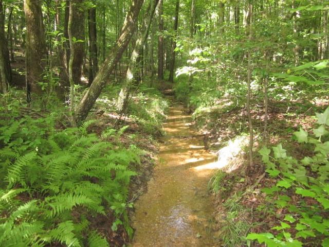 0 Bear Creek Road Talking Rock, GA 30175 - Photo 14 of 78