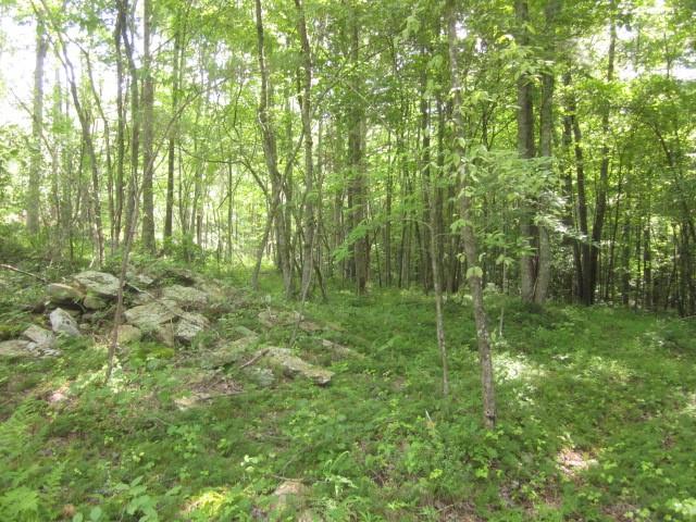 0 Bear Creek Road Talking Rock, GA 30175 - Photo 17 of 78