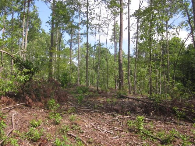 0 Bear Creek Road Talking Rock, GA 30175 - Photo 18 of 78