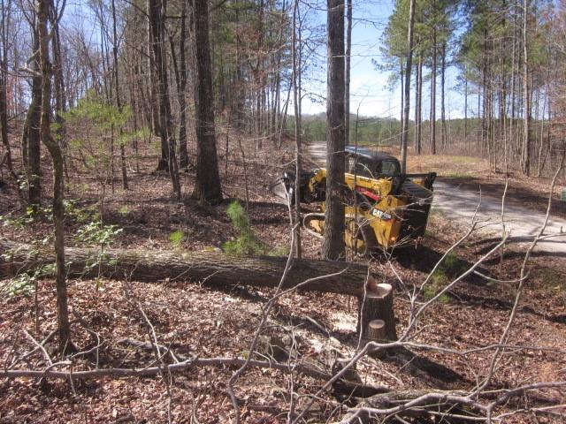 0 Bear Creek Road Talking Rock, GA 30175 - Photo 2 of 78
