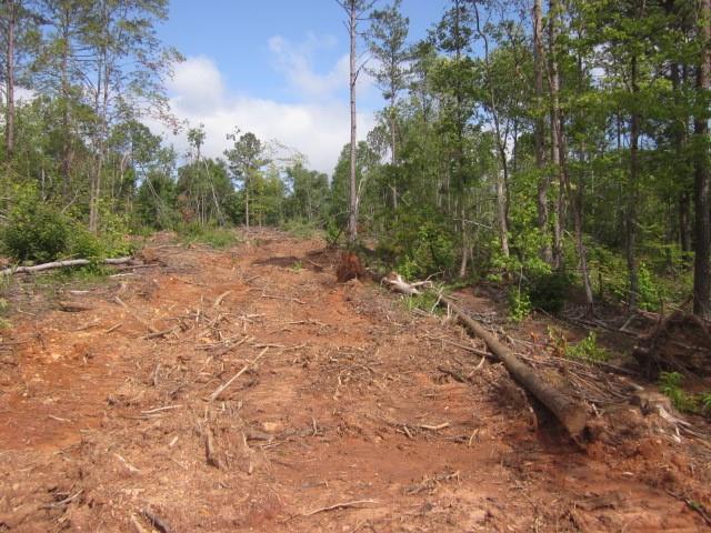 0 Bear Creek Road Talking Rock, GA 30175 - Photo 24 of 78