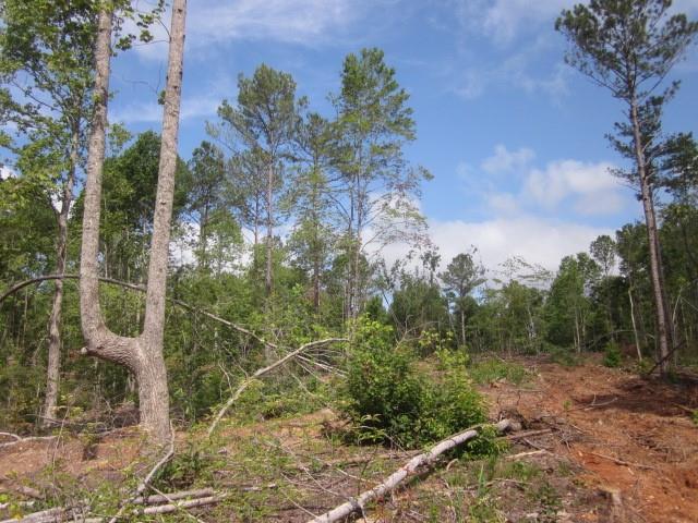 0 Bear Creek Road Talking Rock, GA 30175 - Photo 25 of 78