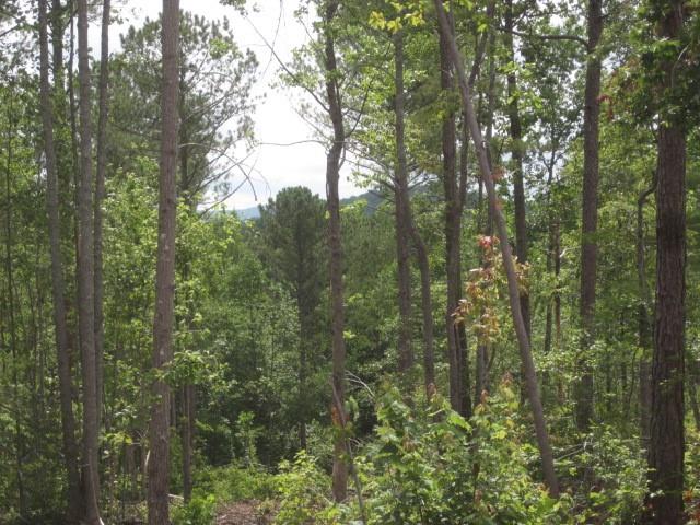 0 Bear Creek Road Talking Rock, GA 30175 - Photo 29 of 78