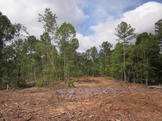 0 Bear Creek Road Talking Rock, GA 30175 - Photo 32 of 78 a view of outdoor space with trees