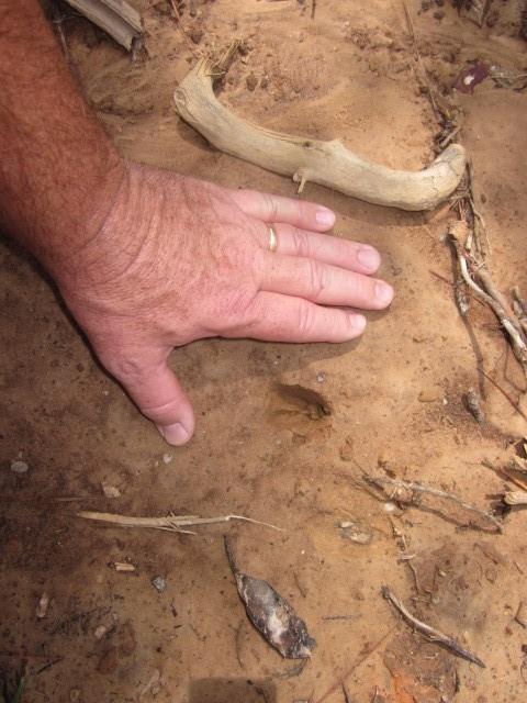 0 Bear Creek Road Talking Rock, GA 30175 - Photo 33 of 78
