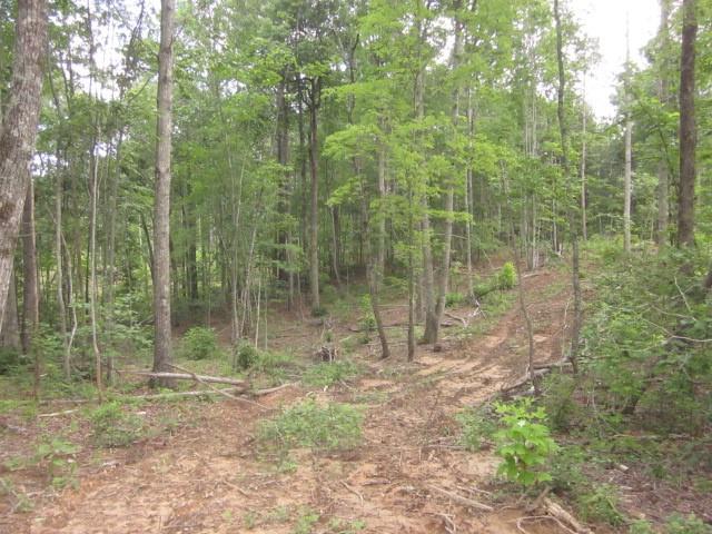 0 Bear Creek Road Talking Rock, GA 30175 - Photo 37 of 78