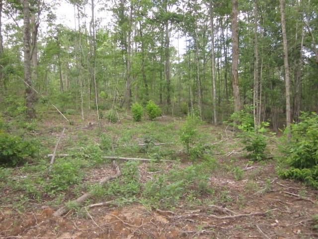 0 Bear Creek Road Talking Rock, GA 30175 - Photo 39 of 78