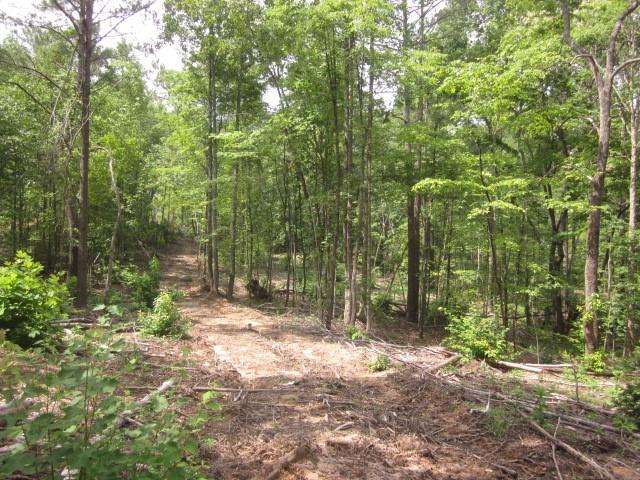 0 Bear Creek Road Talking Rock, GA 30175 - Photo 45 of 78