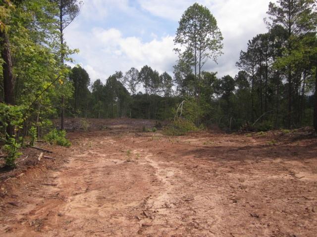 0 Bear Creek Road Talking Rock, GA 30175 - Photo 46 of 78