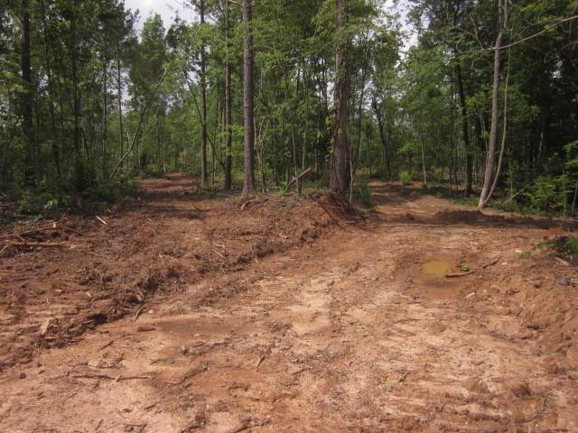 0 Bear Creek Road Talking Rock, GA 30175 - Photo 47 of 78 a view of a forest with trees in the background