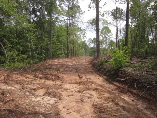 0 Bear Creek Road Talking Rock, GA 30175 - Photo 48 of 78 a view of a yard with trees