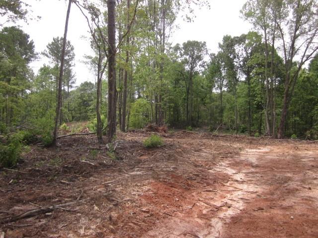 0 Bear Creek Road Talking Rock, GA 30175 - Photo 51 of 78 a view of a forest with trees in the background
