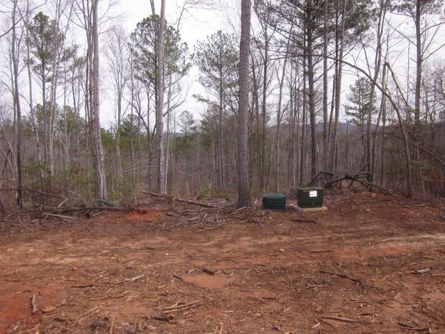 0 Bear Creek Road Talking Rock, GA 30175 - Photo 57 of 78 a backyard of a house with lots of green space