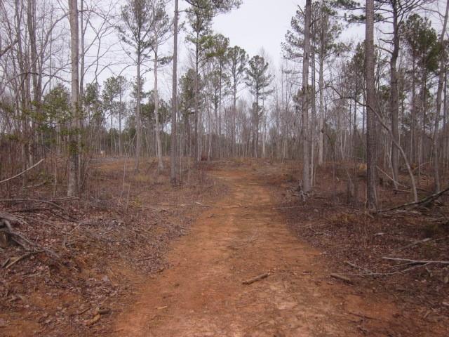 0 Bear Creek Road Talking Rock, GA 30175 - Photo 58 of 78 a view of a yard with trees in the background