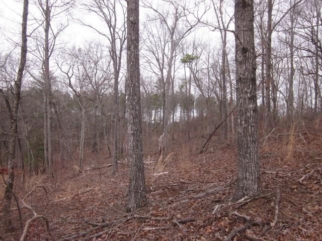 0 Bear Creek Road Talking Rock, GA 30175 - Photo 60 of 78 a backyard of a house with lots of green space