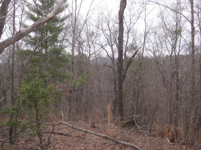 0 Bear Creek Road Talking Rock, GA 30175 - Photo 63 of 78 a backyard of a house with lots of green space