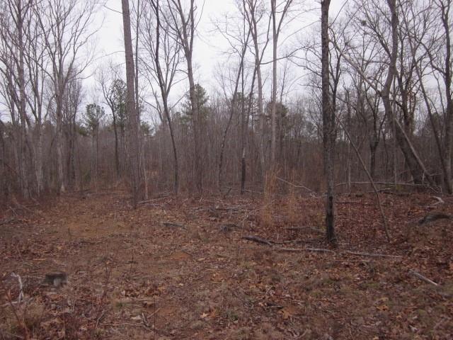 0 Bear Creek Road Talking Rock, GA 30175 - Photo 64 of 78