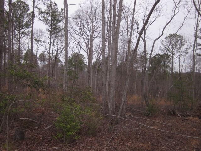 0 Bear Creek Road Talking Rock, GA 30175 - Photo 65 of 78