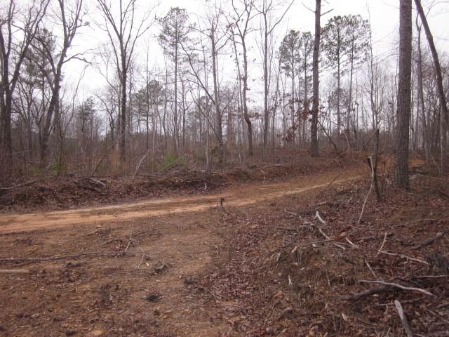 0 Bear Creek Road Talking Rock, GA 30175 - Photo 66 of 78 a view of a backyard of the house