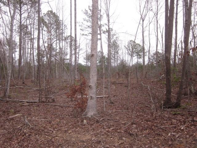 0 Bear Creek Road Talking Rock, GA 30175 - Photo 68 of 78 a backyard of a house with lots of green space
