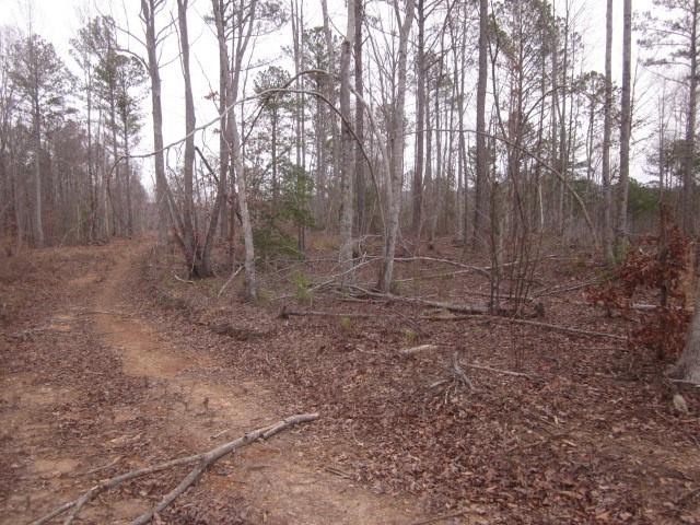 0 Bear Creek Road Talking Rock, GA 30175 - Photo 69 of 78 a view of a yard with trees in the background