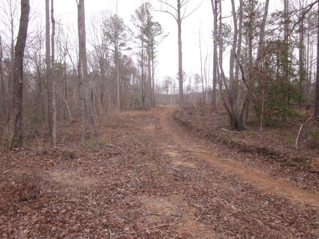 0 Bear Creek Road Talking Rock, GA 30175 - Photo 70 of 78 a view of a forest with trees in the background