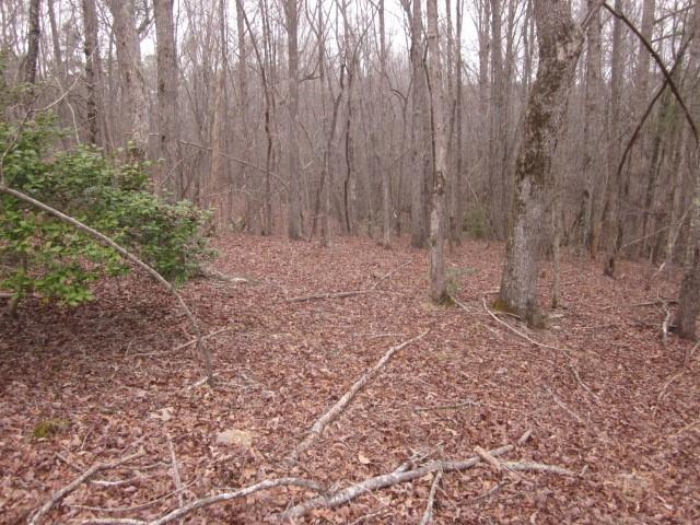 0 Bear Creek Road Talking Rock, GA 30175 - Photo 72 of 78