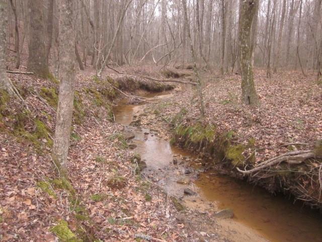0 Bear Creek Road Talking Rock, GA 30175 - Photo 73 of 78
