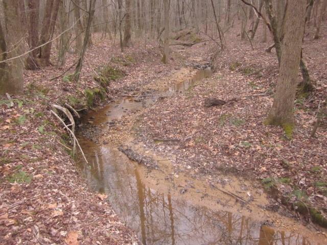 0 Bear Creek Road Talking Rock, GA 30175 - Photo 74 of 78