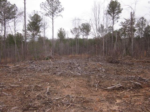 0 Bear Creek Road Talking Rock, GA 30175 - Photo 75 of 78