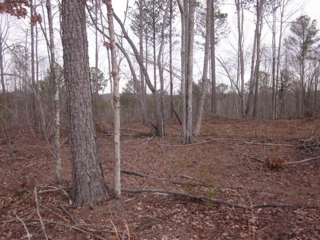 0 Bear Creek Road Talking Rock, GA 30175 - Photo 76 of 78