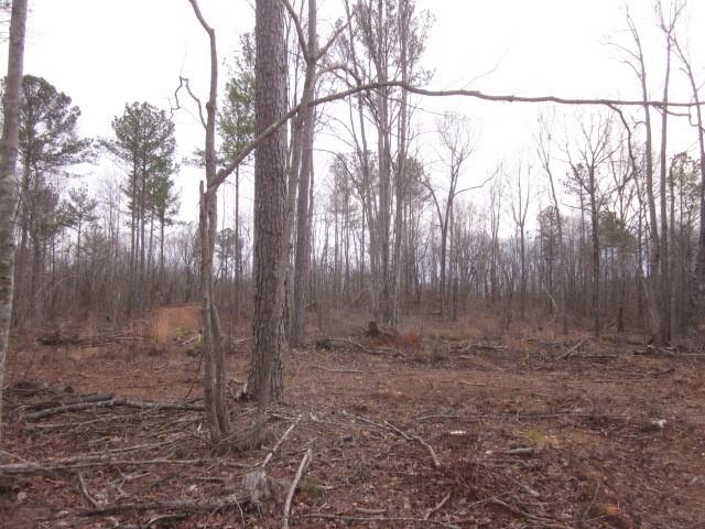 0 Bear Creek Road Talking Rock, GA 30175 - Photo 77 of 78