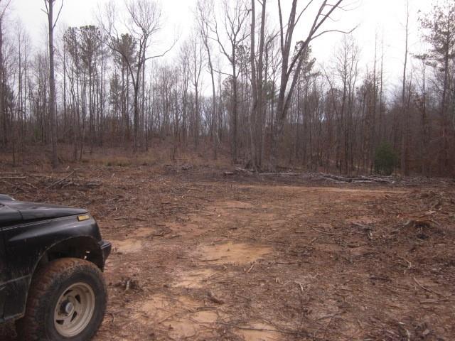 0 Bear Creek Road Talking Rock, GA 30175 - Photo 78 of 78 a view of a backyard with trees