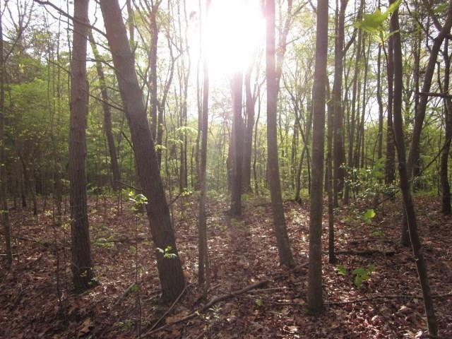 0 Bear Creek Road Talking Rock, GA 30175 - Photo 10 of 78