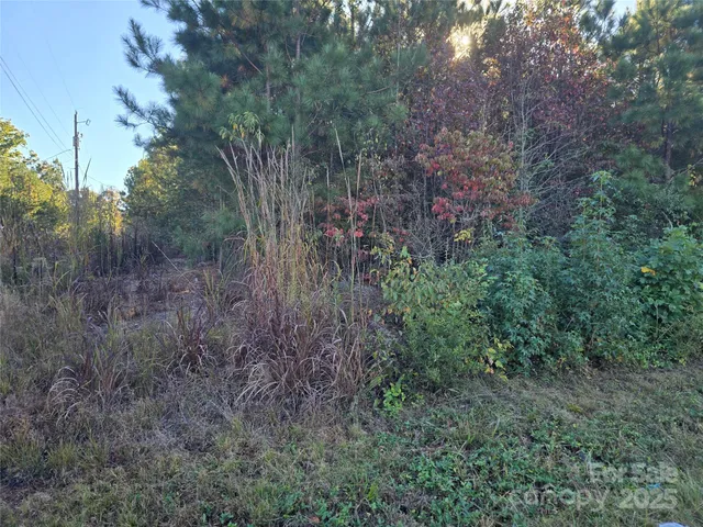 $350,000 | 0 Moss Lane, New London, NC 28127