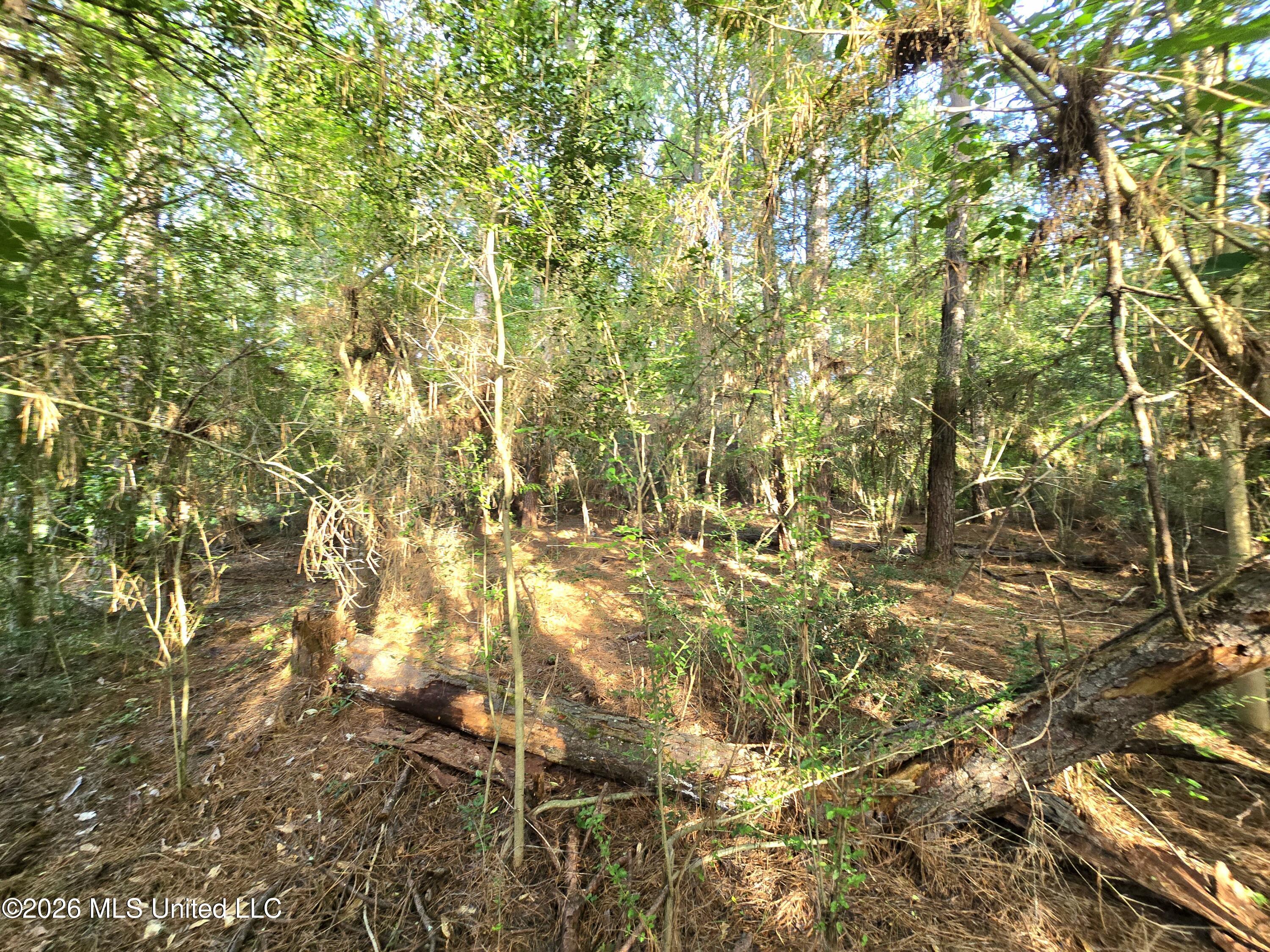 1189 Shady Grove Road Osyka, MS 39657 - Photo 23 of 27 20260622_183711