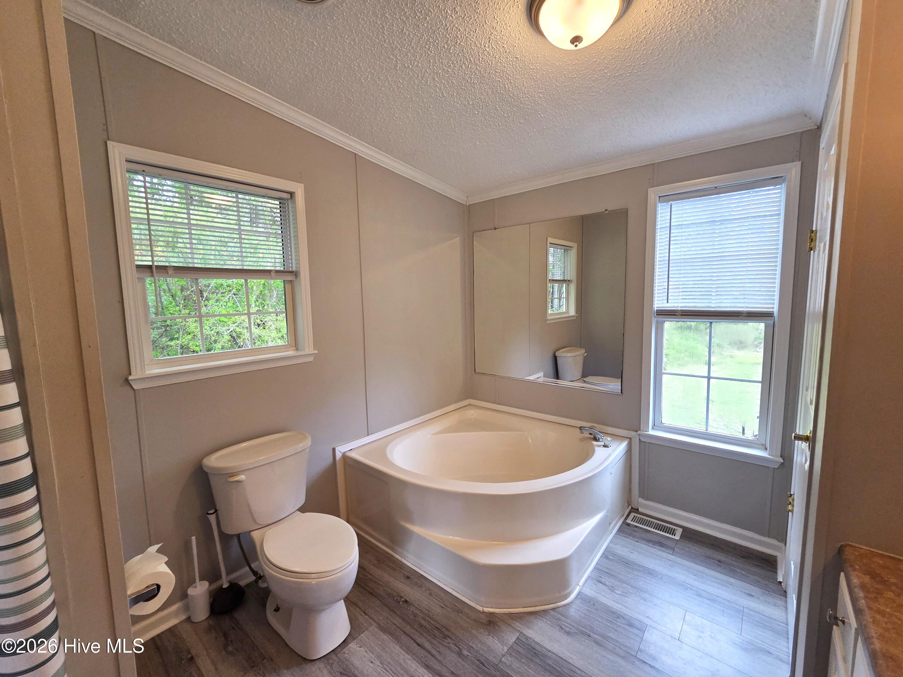 361 Fowler Manning Road Richlands, NC 28574 - Photo 21 of 35 Master Bath