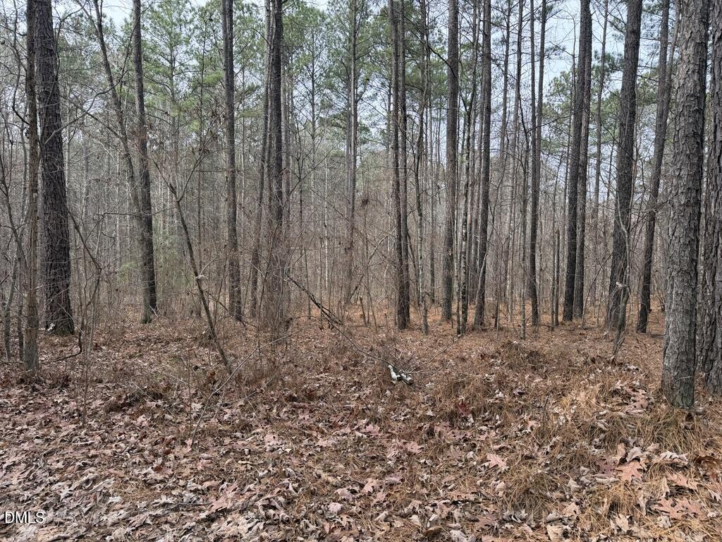 0 Murphy Road Youngsville, NC 27596 - Photo 11 of 11 9621A7A1-5E15-4F3F-8436-DB499F2CC829_1_1