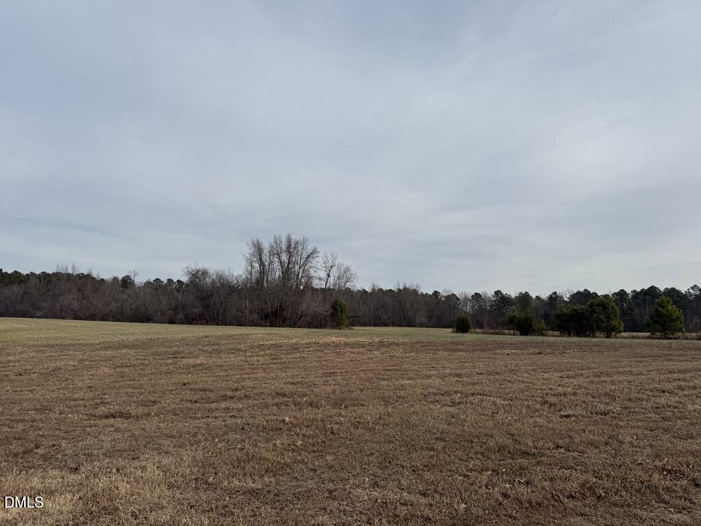 0 Murphy Road Youngsville, NC 27596 - Photo 2 of 11 1D0B47D5-9368-4AA1-B54B-E2A97FDBE095_1_1