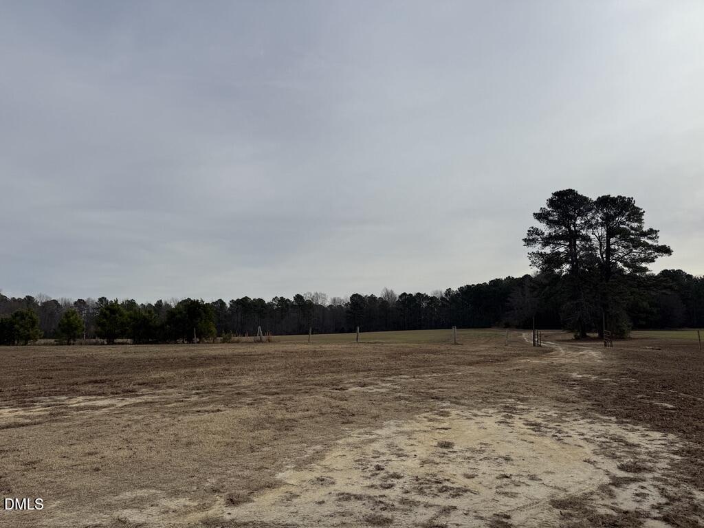 0 Murphy Road Youngsville, NC 27596 - Photo 3 of 11 E3BD7A04-194A-45C1-81C8-AFA484AF04E5_1_1