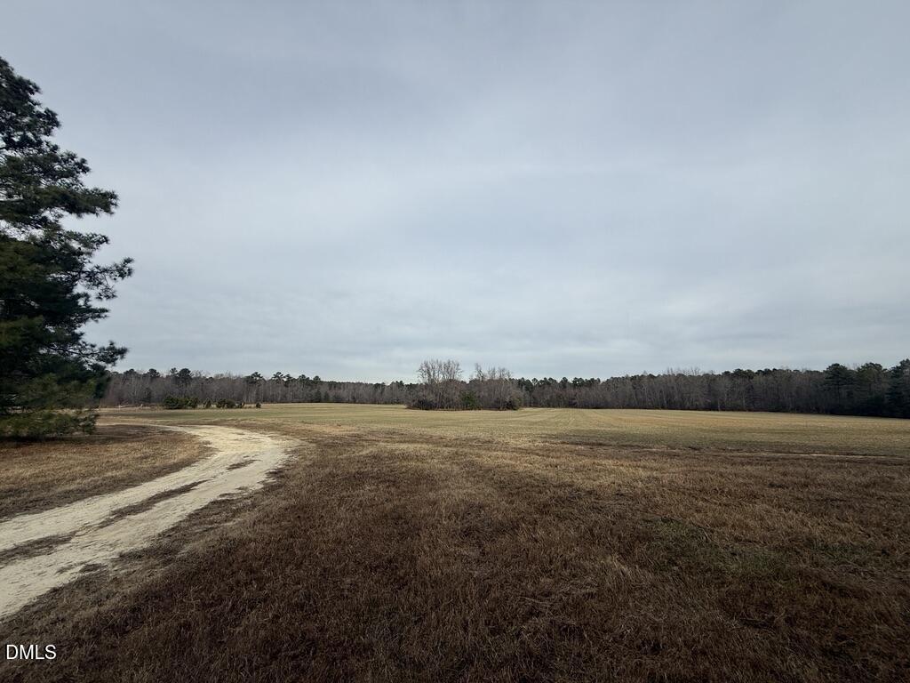 0 Murphy Road Youngsville, NC 27596 - Photo 5 of 11 E8E74929-8A5B-4D1C-8ED6-74AE74F73AAD_1_1