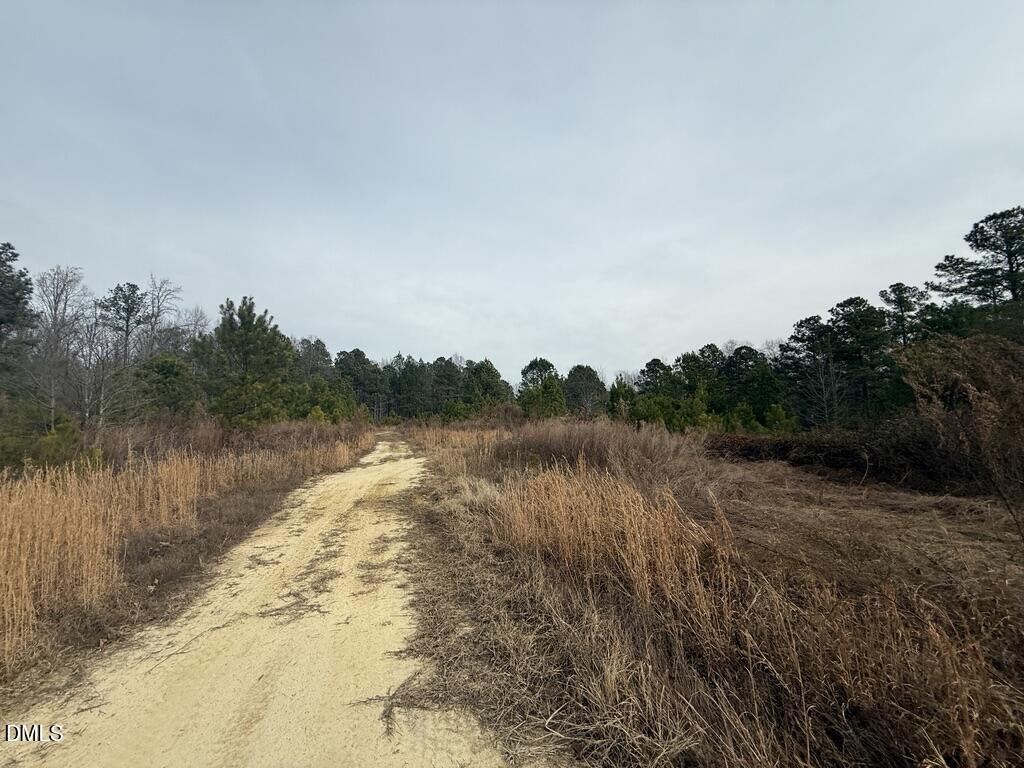 0 Murphy Road Youngsville, NC 27596 - Photo 10 of 11 FBAF6933-9FFD-4962-BC1E-06D46EB82C63_1_1